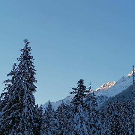 Appartamento Mooshof Kaunertal Esterno foto